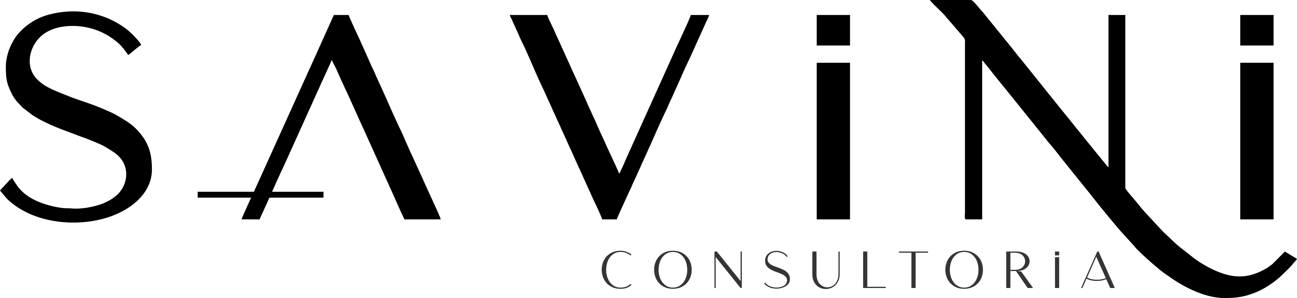 Savini Consultoria